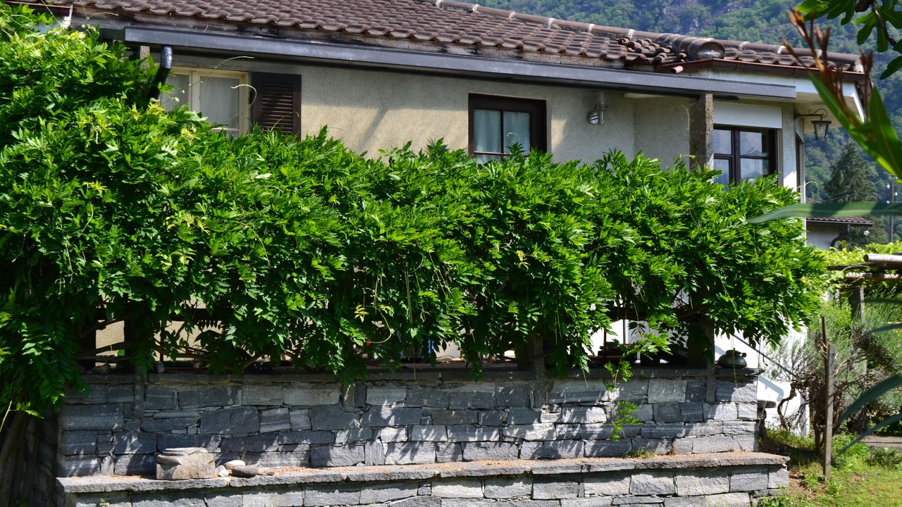 Photo of Outdoor in Losone