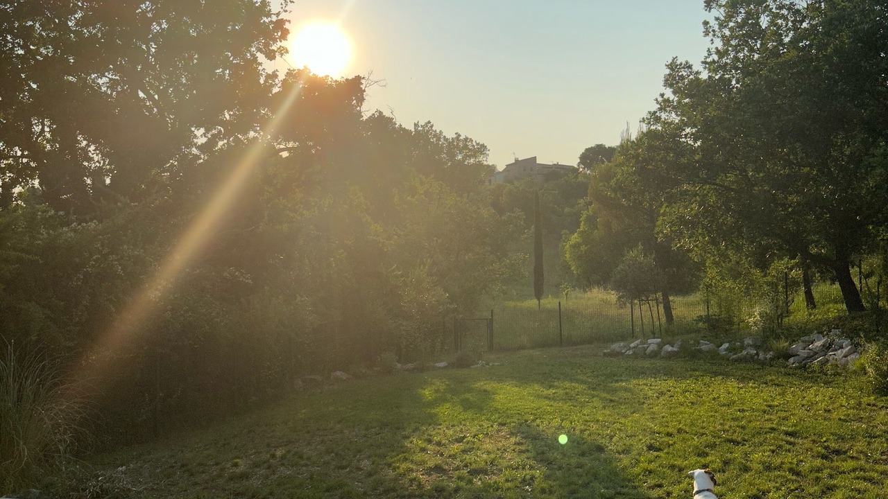 Photo of Outdoor in Saint-Jean-de-Maruejols-et-Avejan