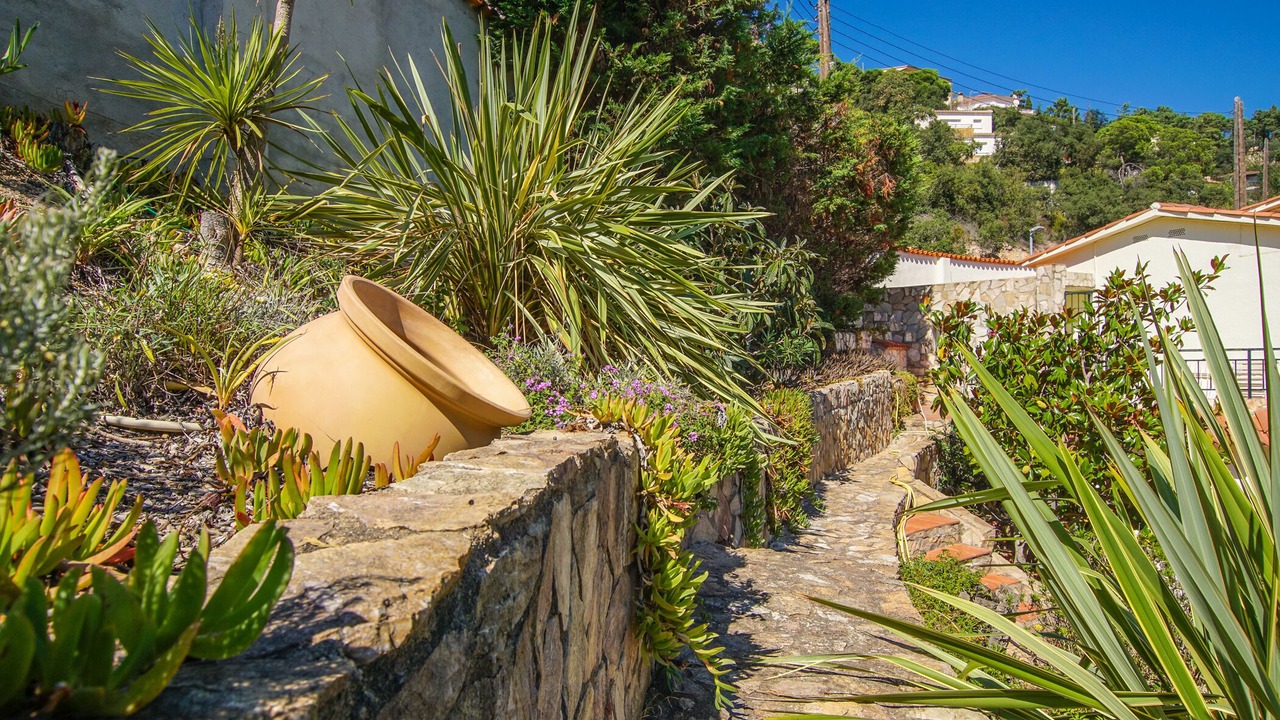 Photo of Outdoor in Lloret de Mar