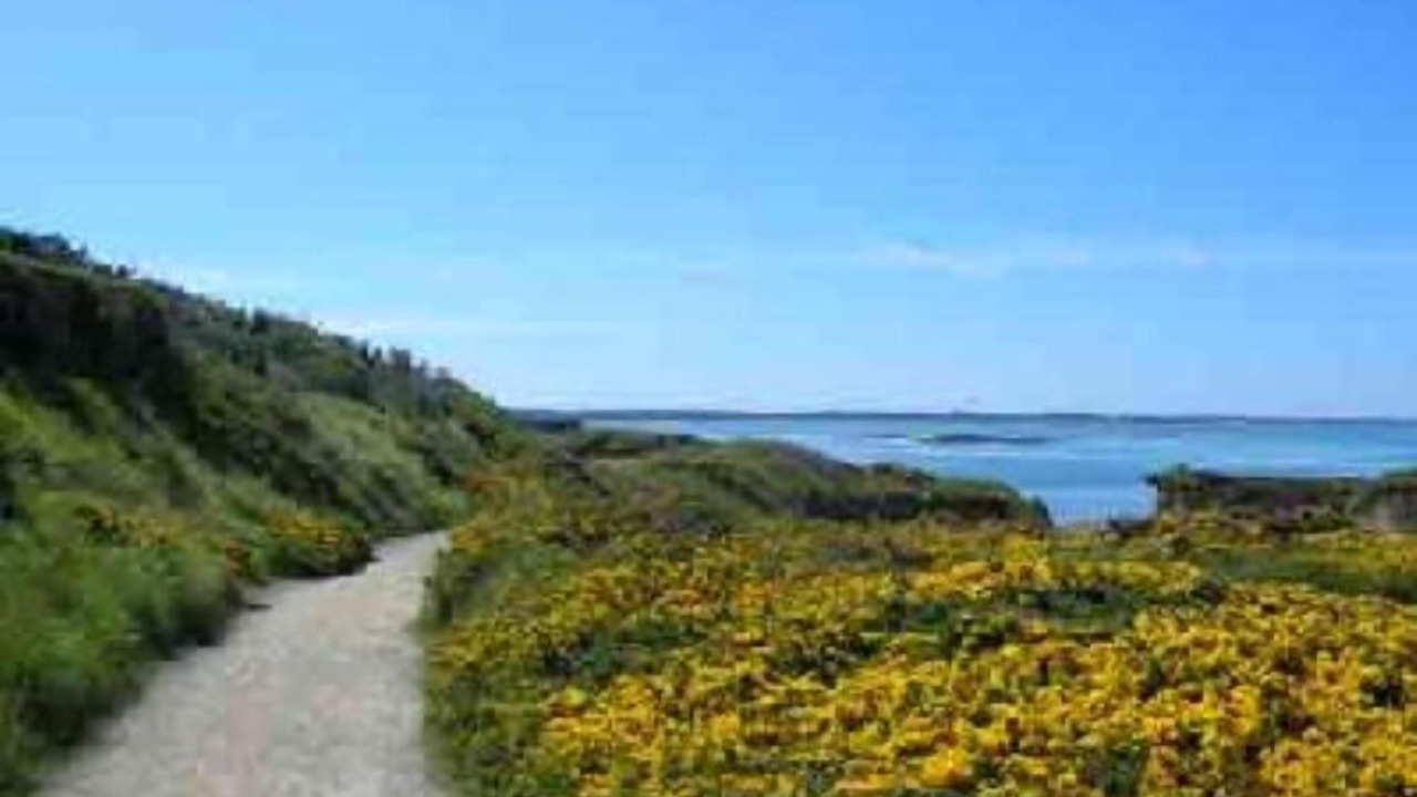 Photo of Others in Penestin