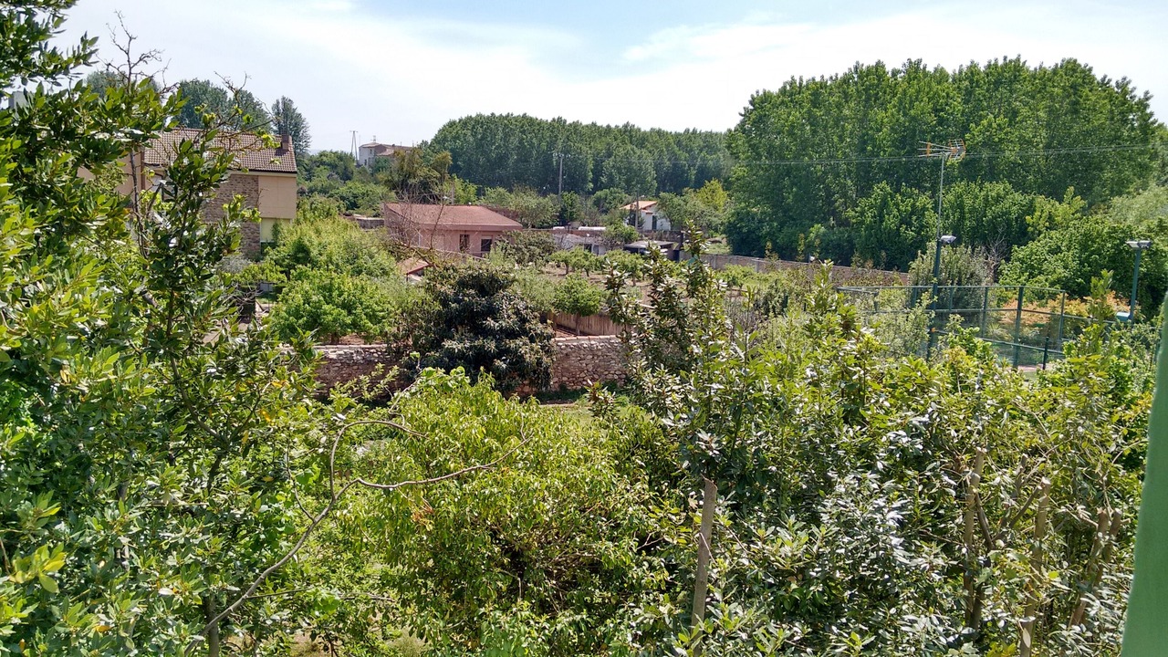 Photo of Outdoor in Najera
