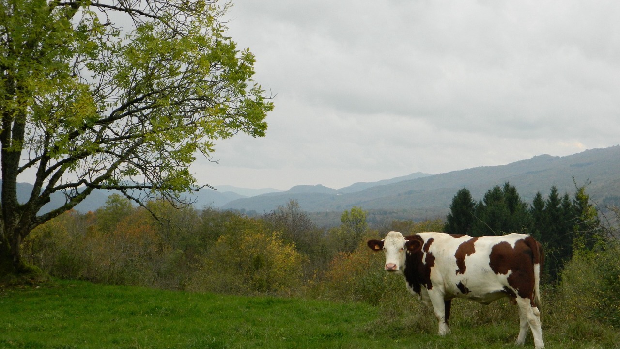 Photo of Outdoor in Onoz