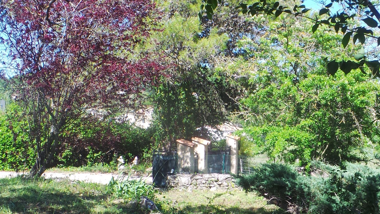 Photo of Outdoor in Mane