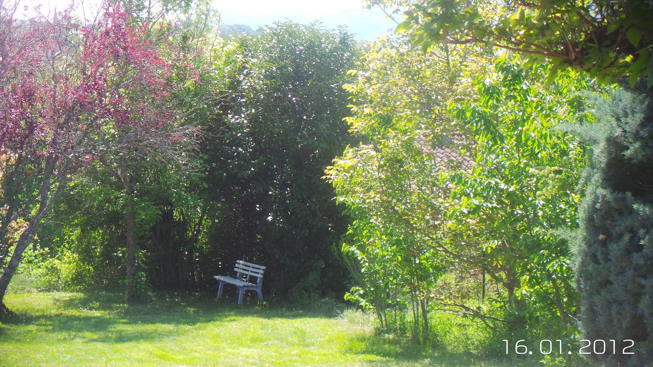 Photo of Outdoor in Mane