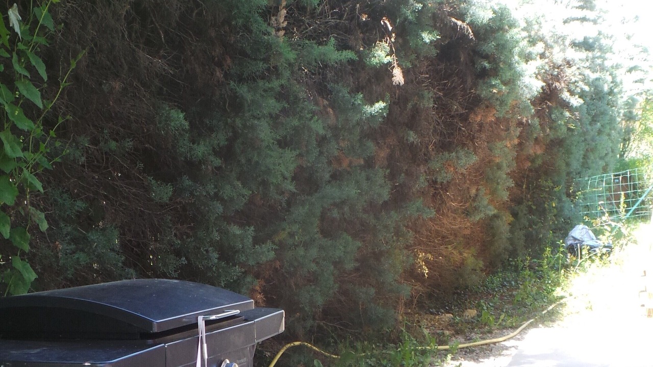 Photo of Outdoor in Mane