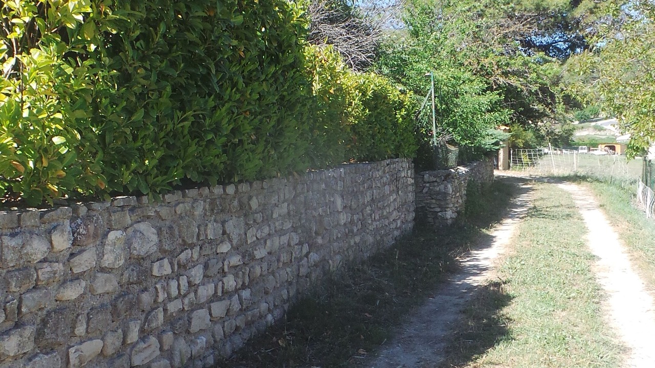 Photo of Outdoor in Mane