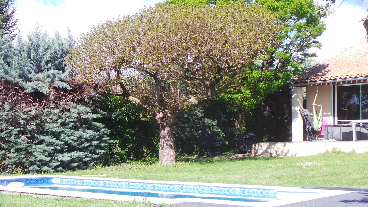 Photo of Outdoor in Mane