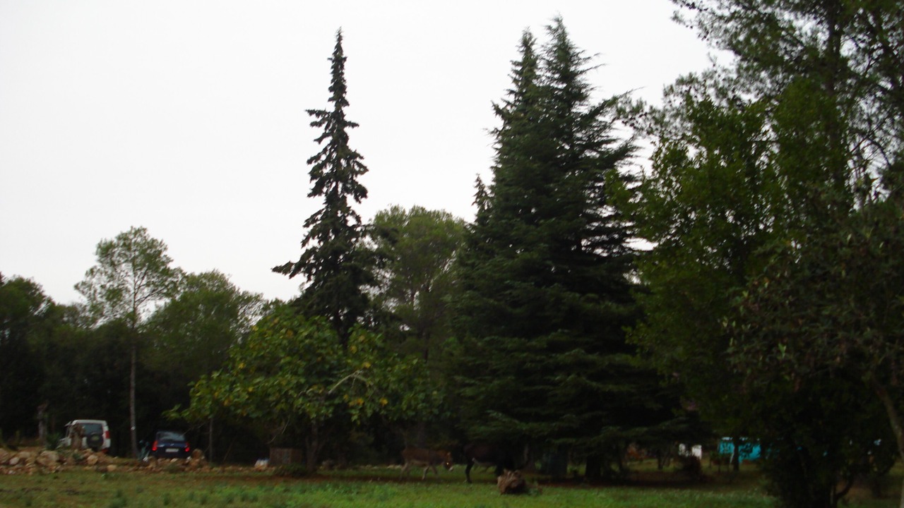 Photo of Outdoor in Crespia