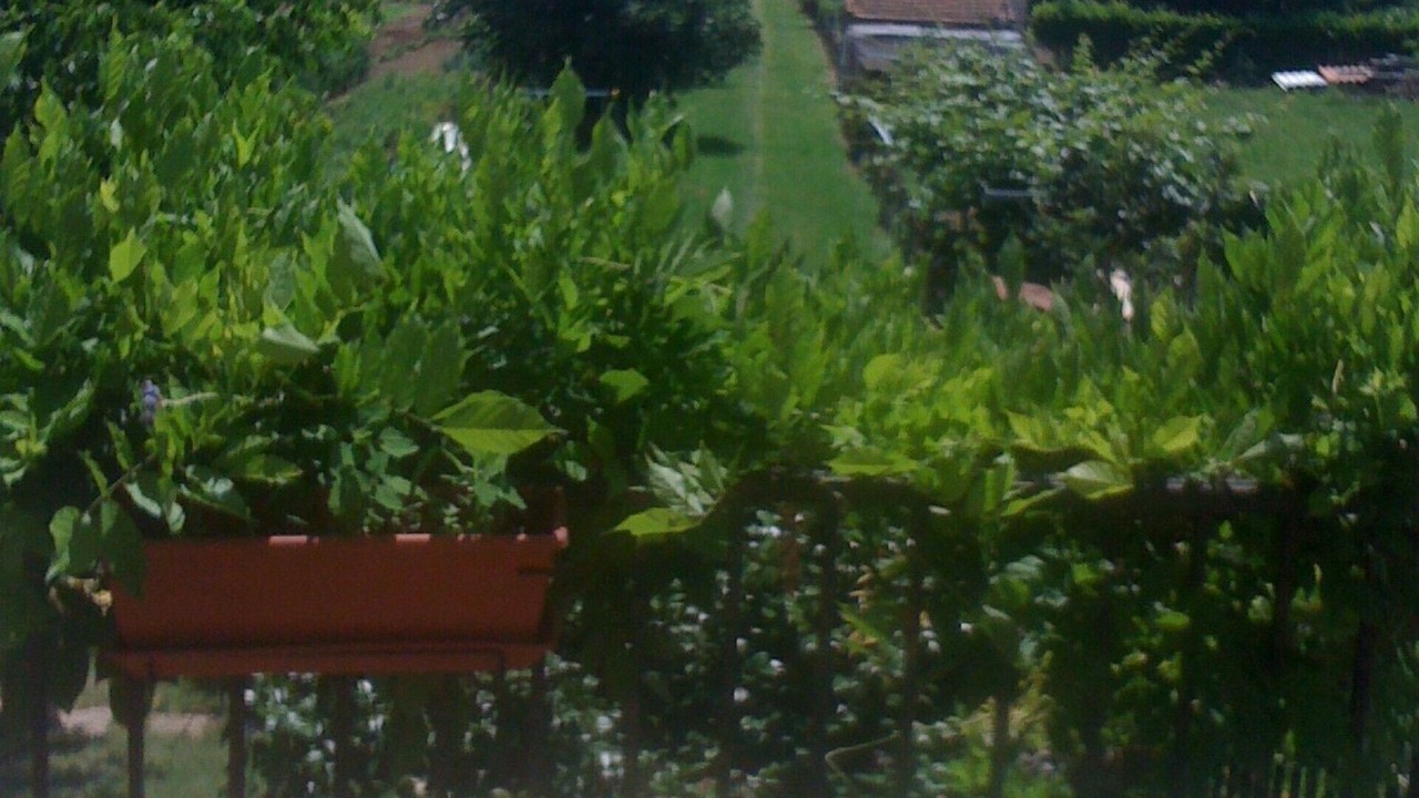 Photo of Outdoor in Clairac