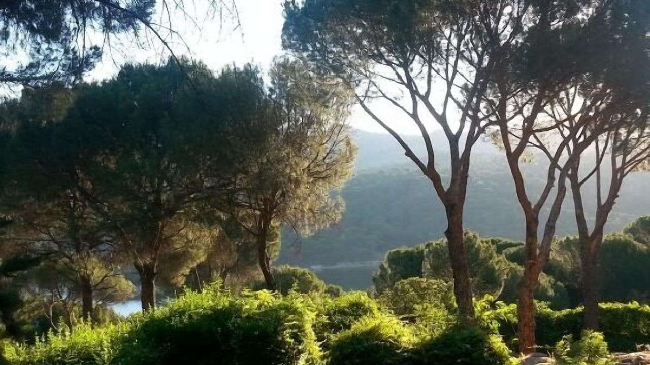 Photo of Outdoor in San Martin de Valdeiglesias
