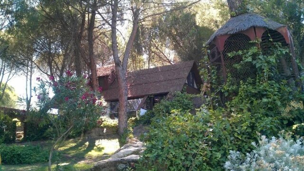 Photo of Outdoor in San Martin de Valdeiglesias