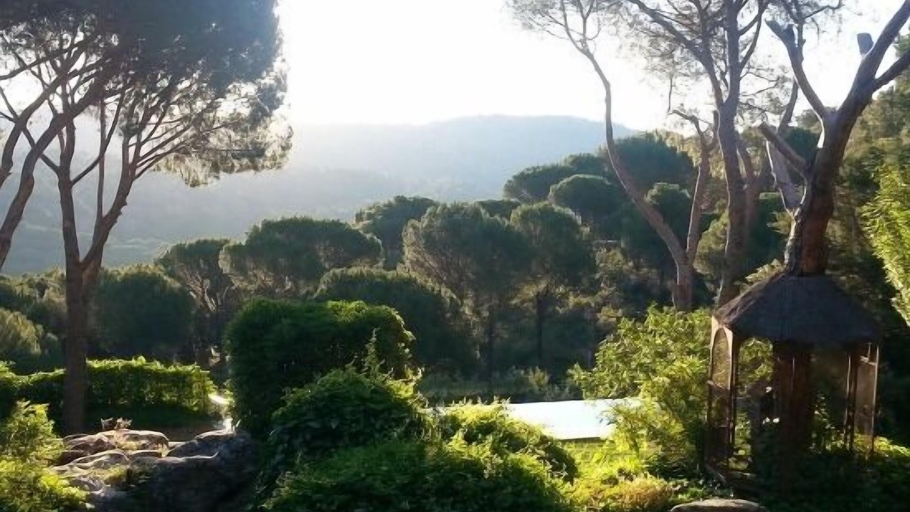 Photo of Outdoor in San Martin de Valdeiglesias