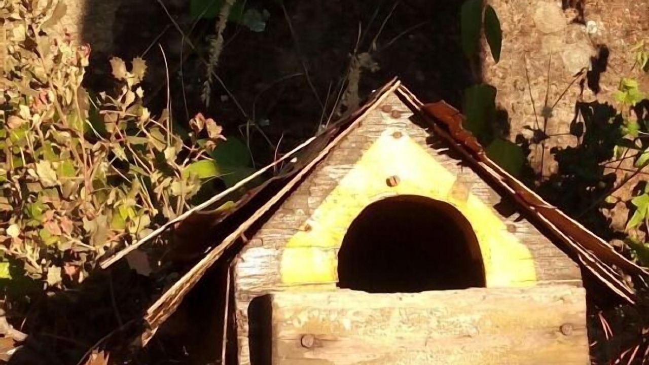Photo of Outdoor in San Martin de Valdeiglesias