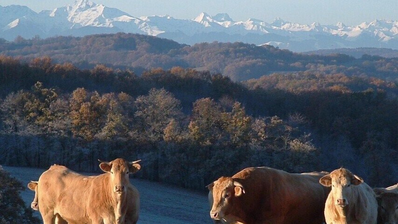 Photo of Others in Clarac