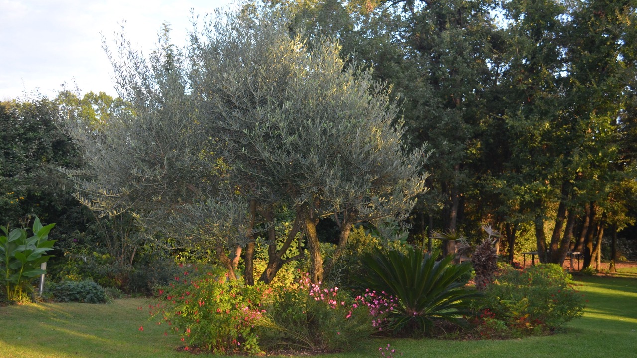 Photo of Outdoor in Salinelles