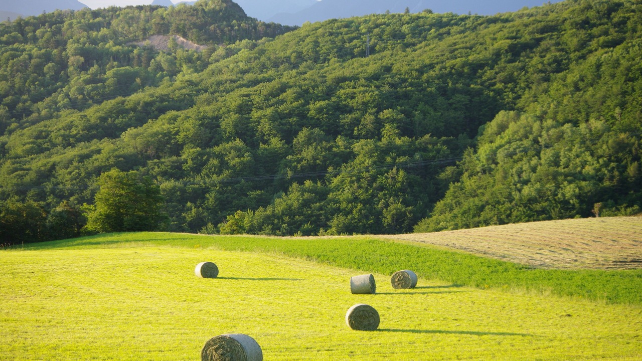 Photo of Others in Chorges