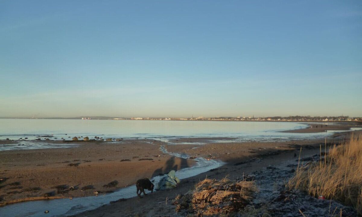 Photo of Others in Ayr