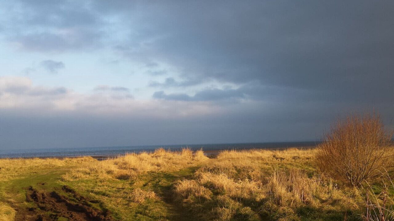 Photo of Others in Ayr