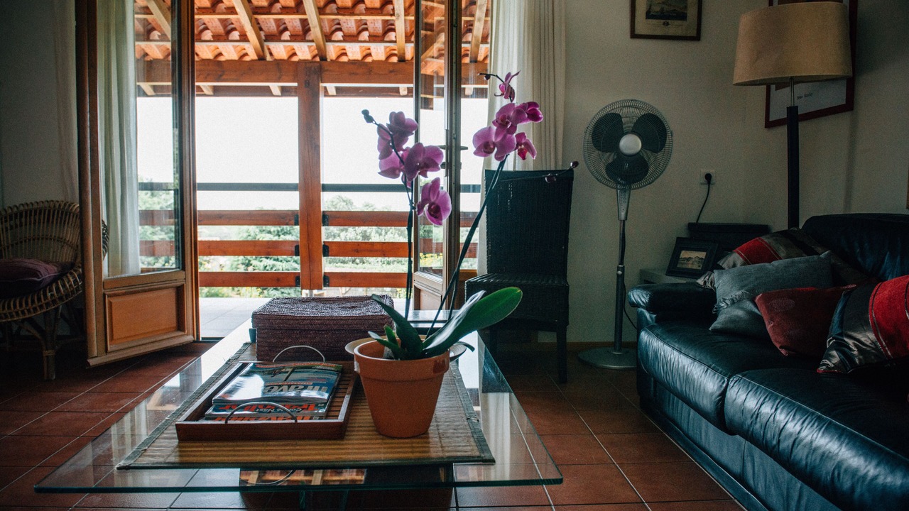 Photo of Livingroom in Cabrerolles
