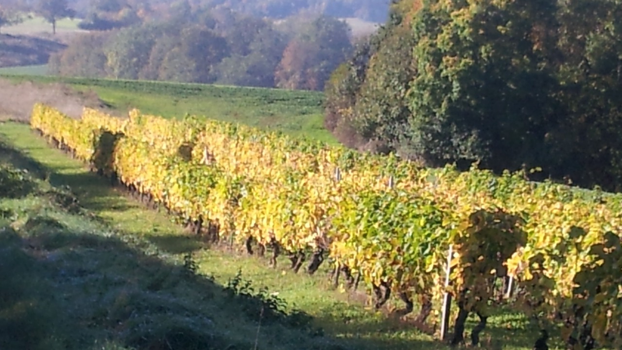 Photo of Outdoor in Messanges