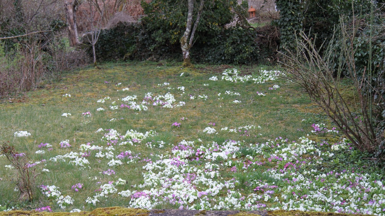 Photo of Outdoor in Messanges