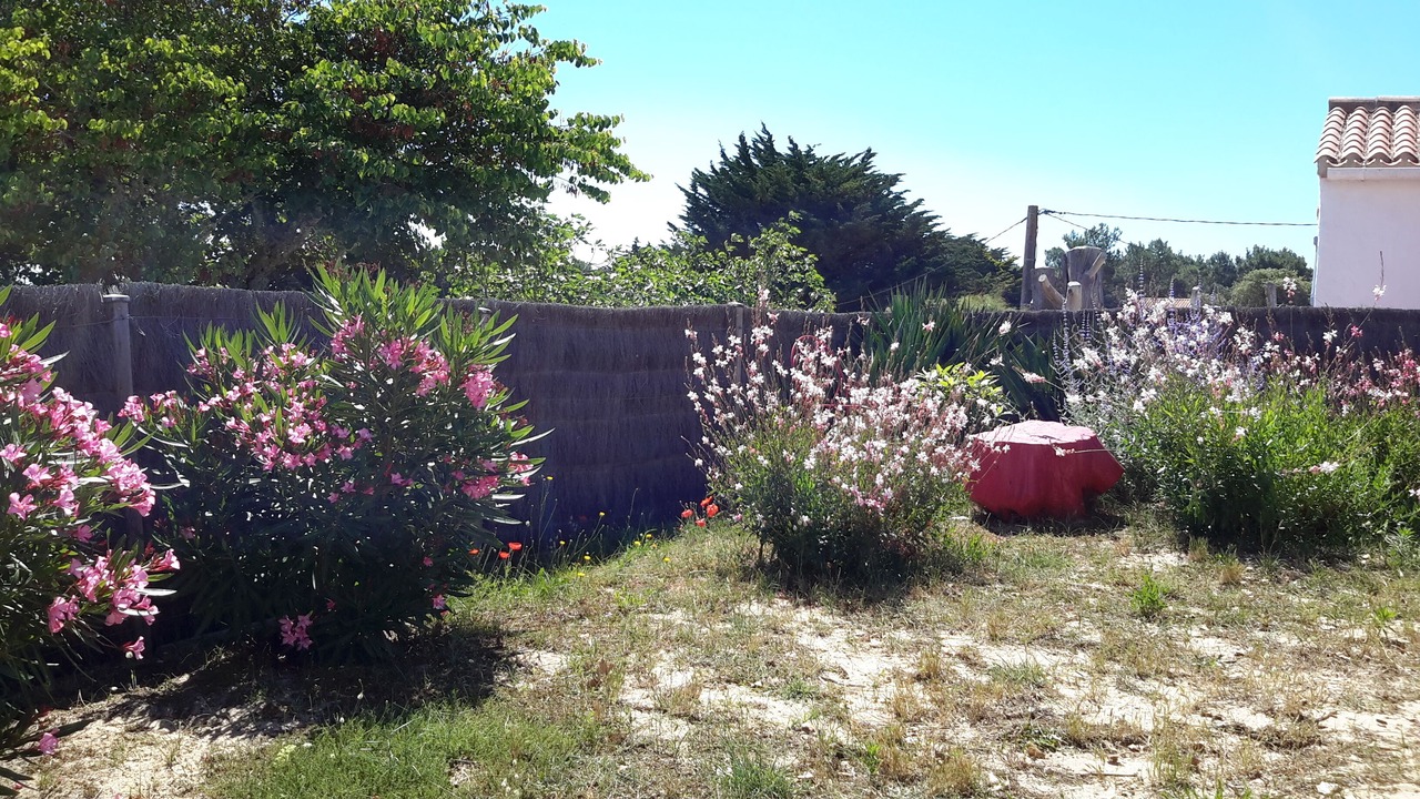 Photo of Outdoor in L'Epine