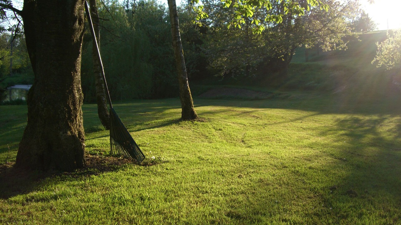 Photo of Others in Bannay