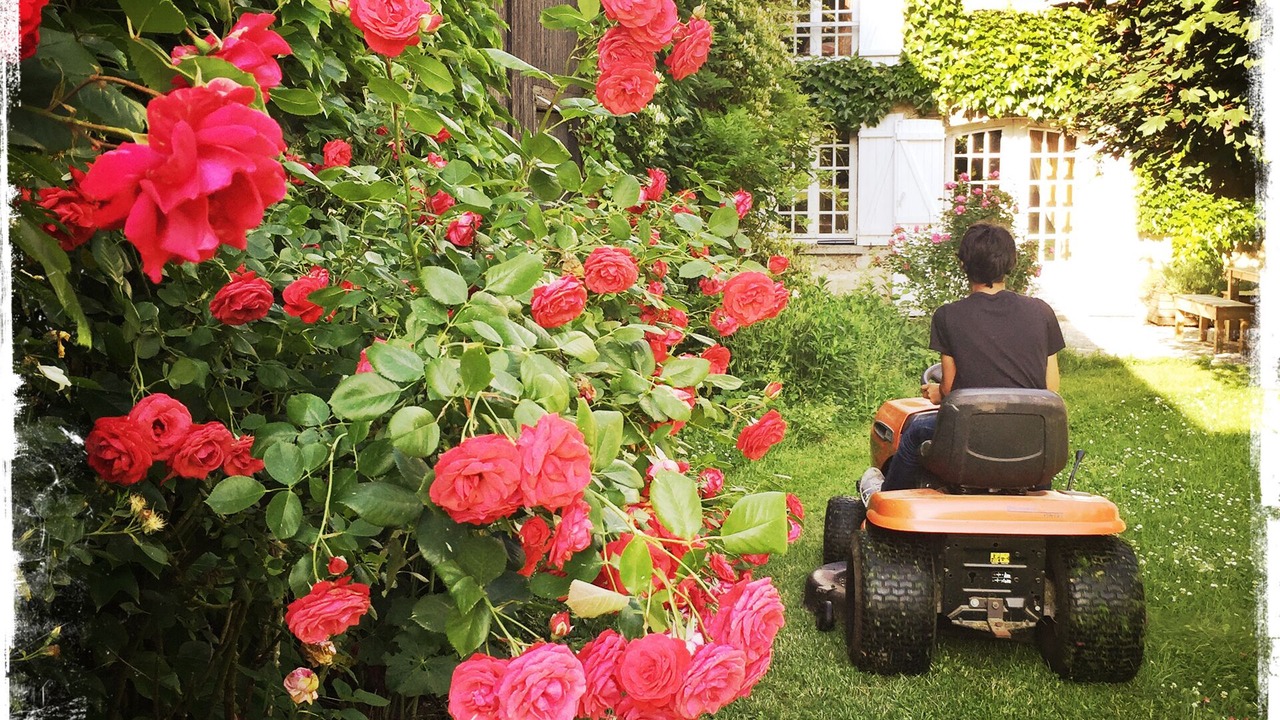 Photo of Outdoor in Bannay