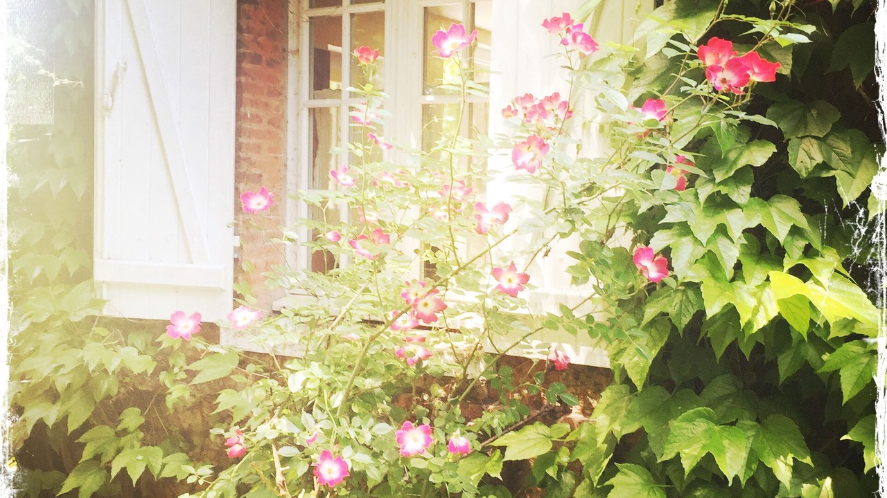 Photo of Outdoor in Bannay