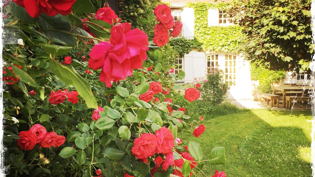 Photo of Outdoor in Bannay