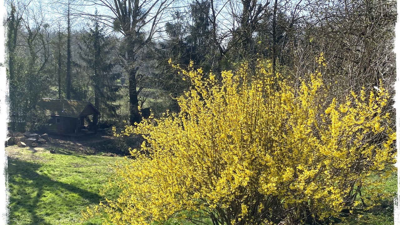 Photo of Outdoor in Bannay