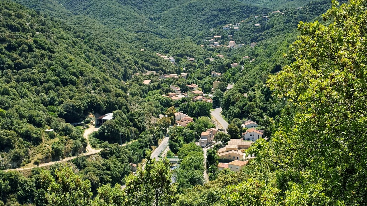 Photo of Others in Sorede