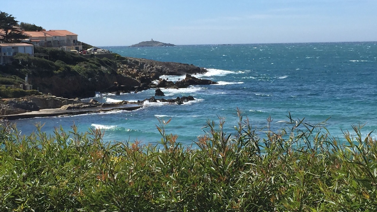 Photo of Others in Sanary-sur-Mer