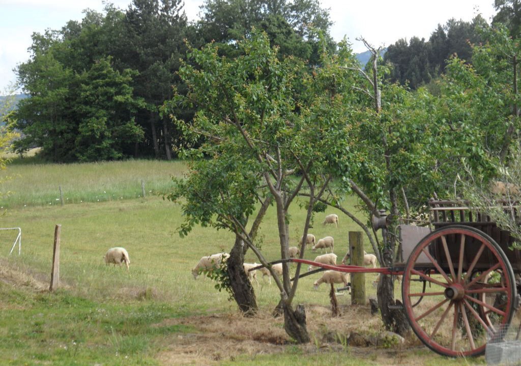 Photo of Outdoor in Escouloubre-les-bains