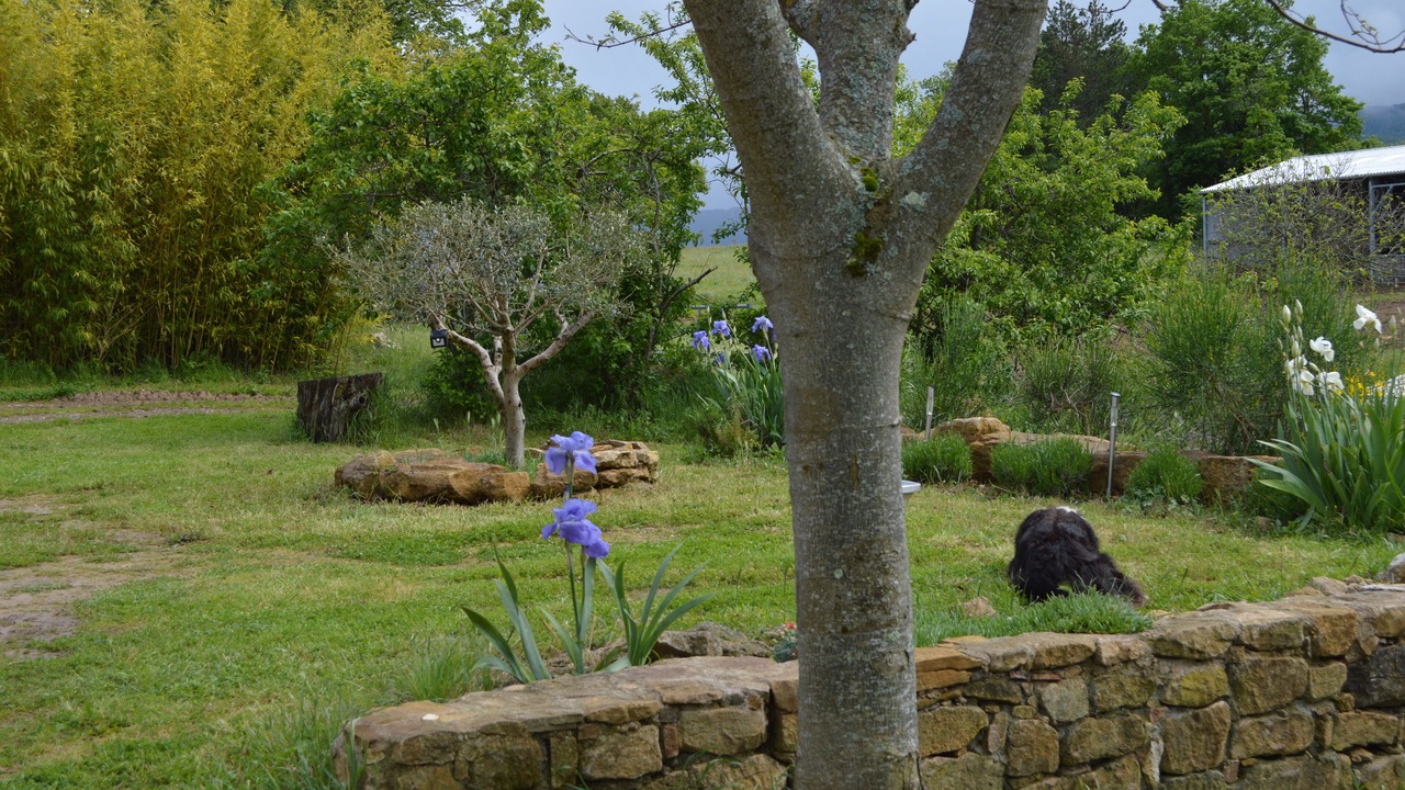 Photo of Outdoor in Escouloubre-les-bains