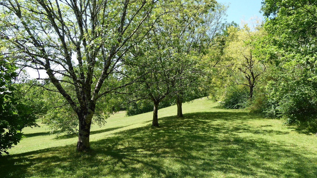 Photo of Outdoor in Montagudet