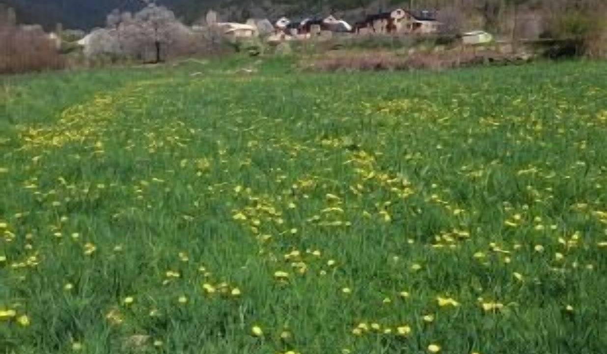 Photo of Outdoor in Biescas