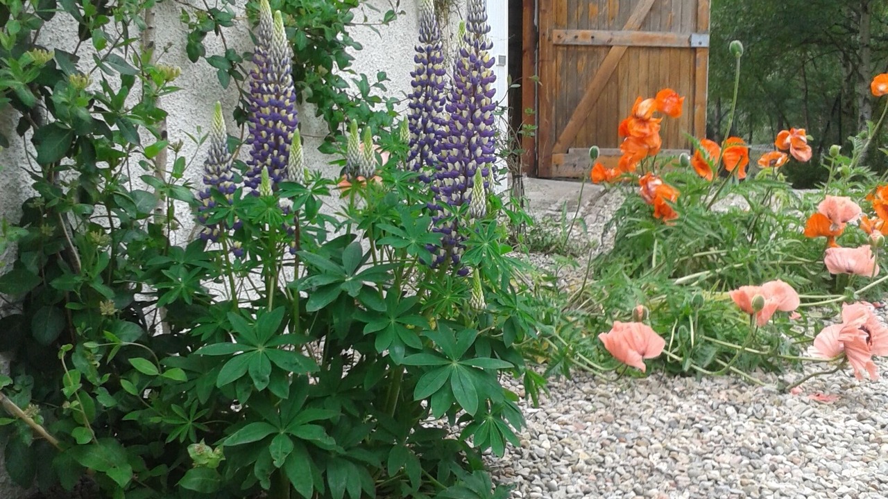 Photo of Outdoor in Braemar