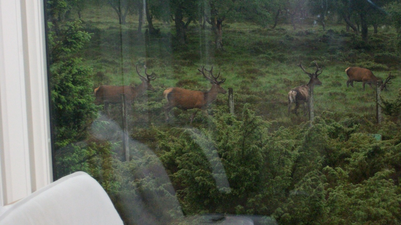 Photo of Bedroom in Braemar
