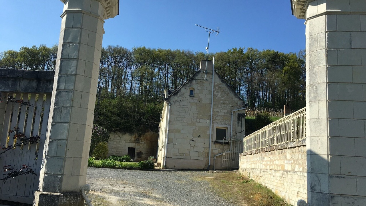 Photo of Others in Saix