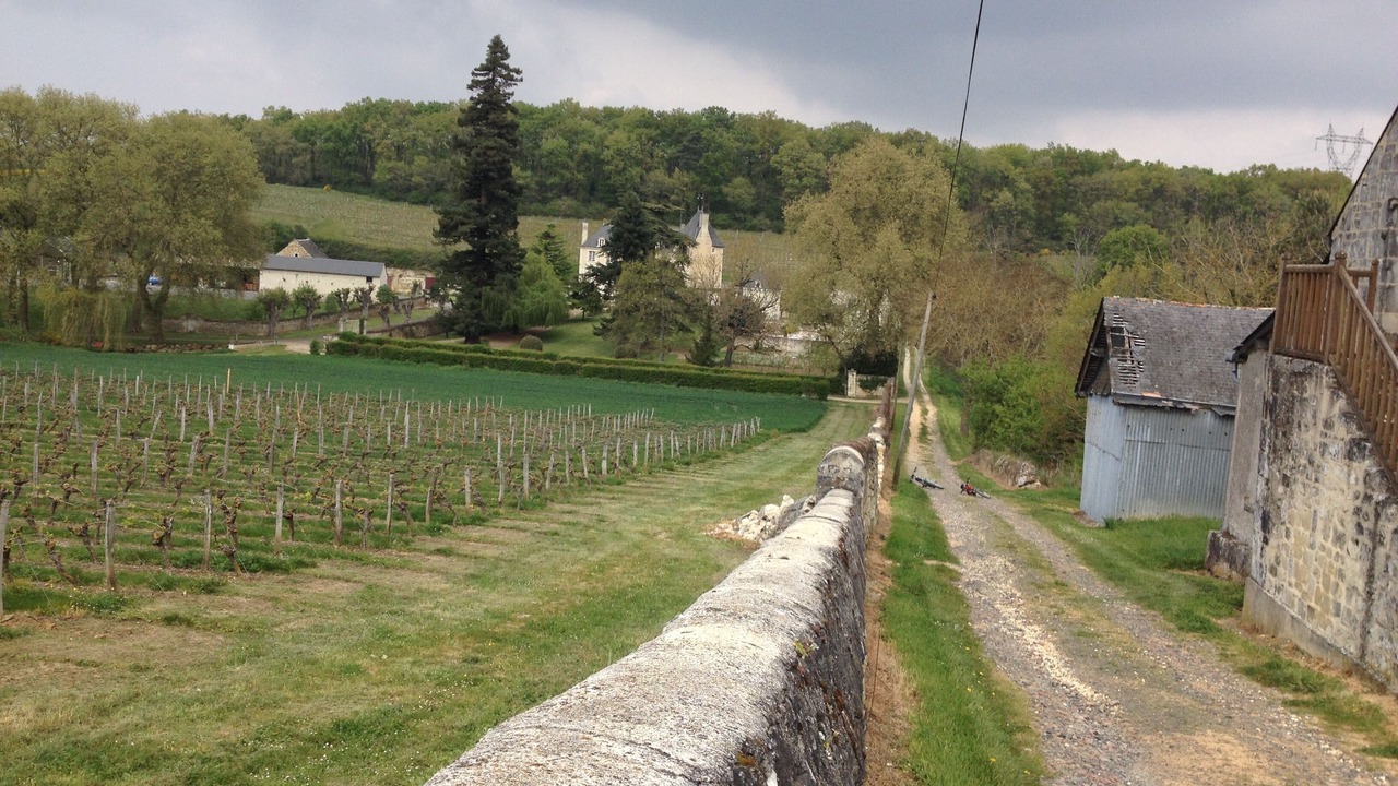 Photo of Others in Saix