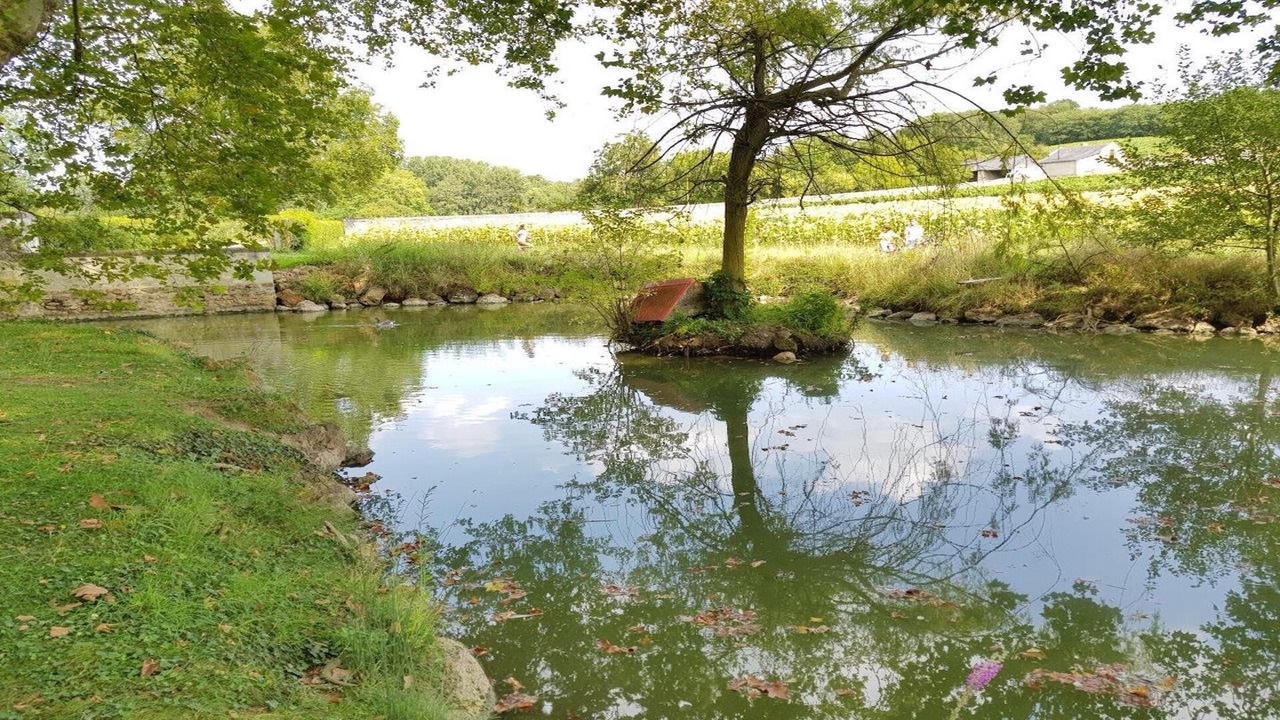 Photo of Others in Saix