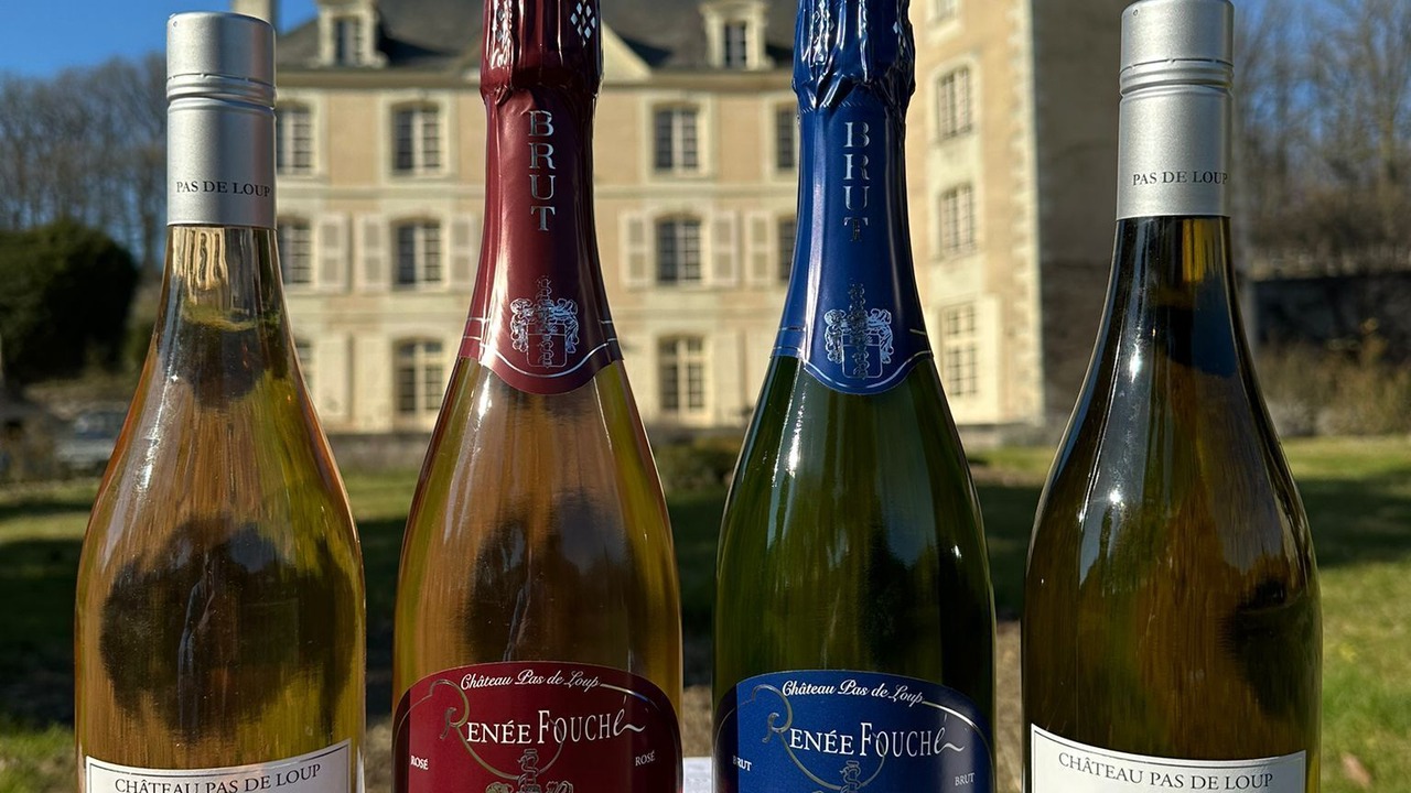 Photo of Others in Saix