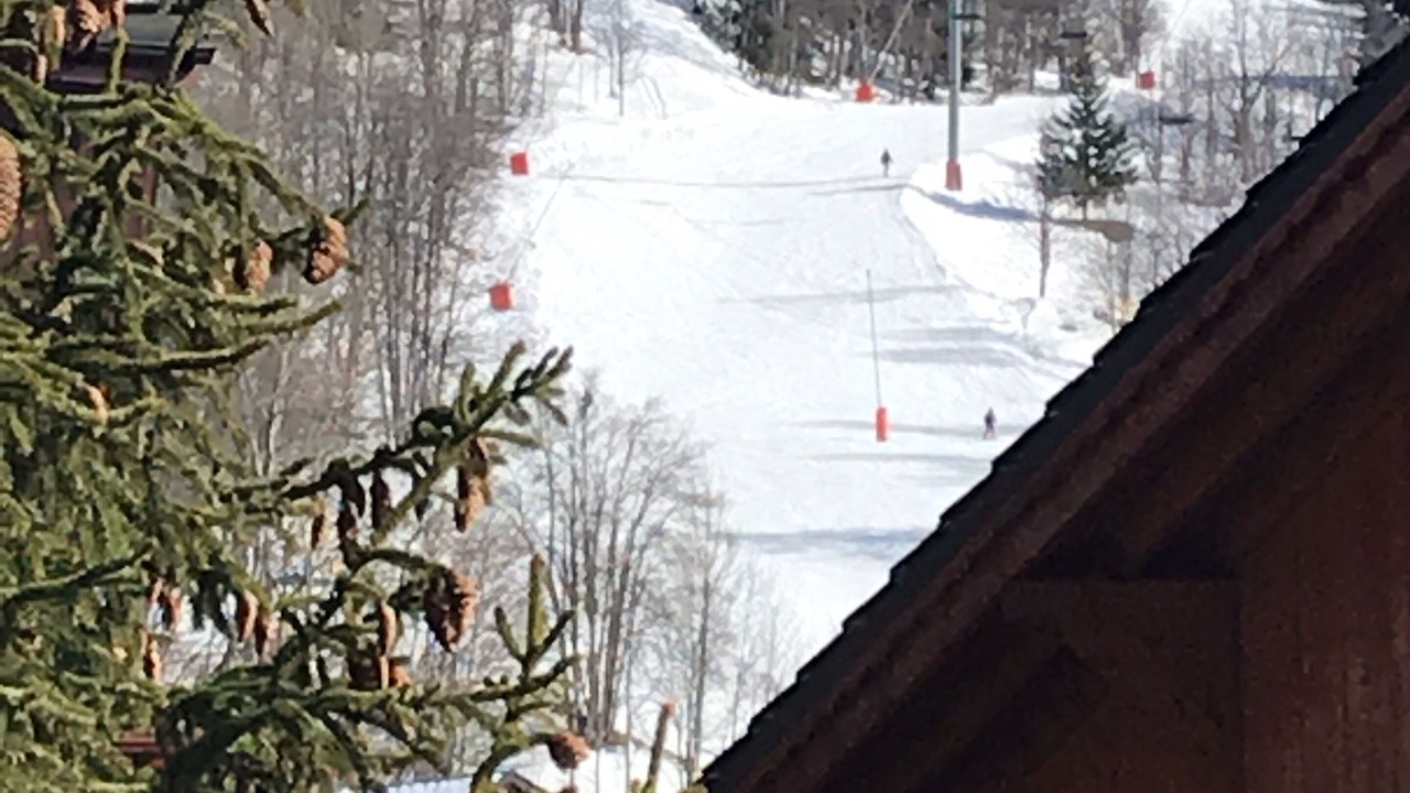 Photo of Patio Balcony in Meribel Centre