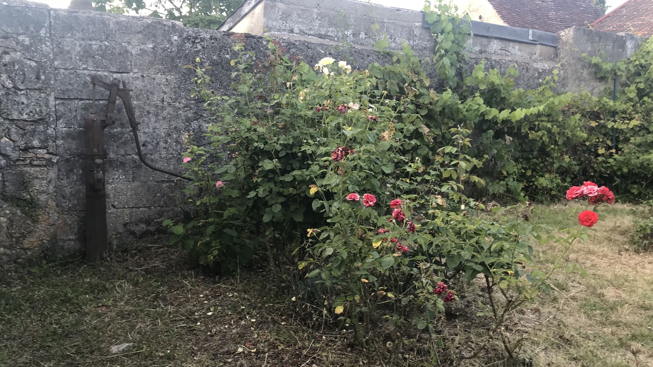 Photo of Outdoor in Amboise