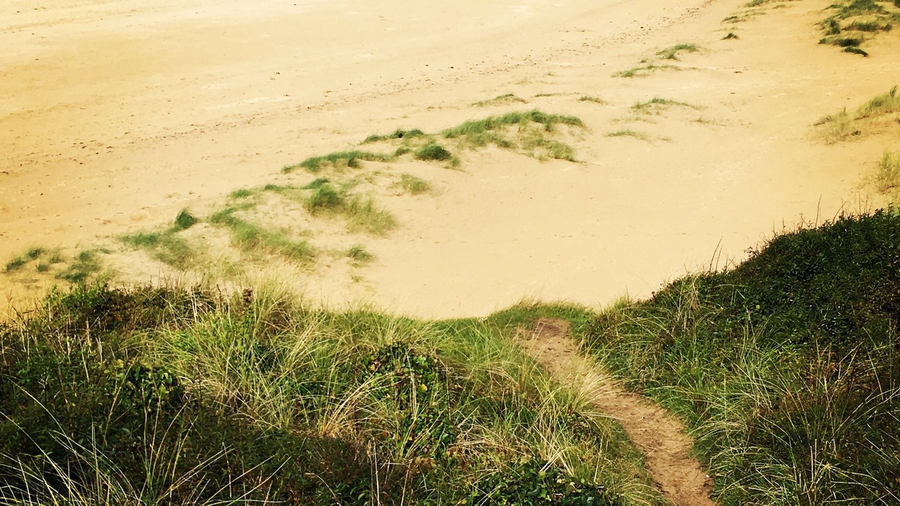 Photo of Others in Wadebridge