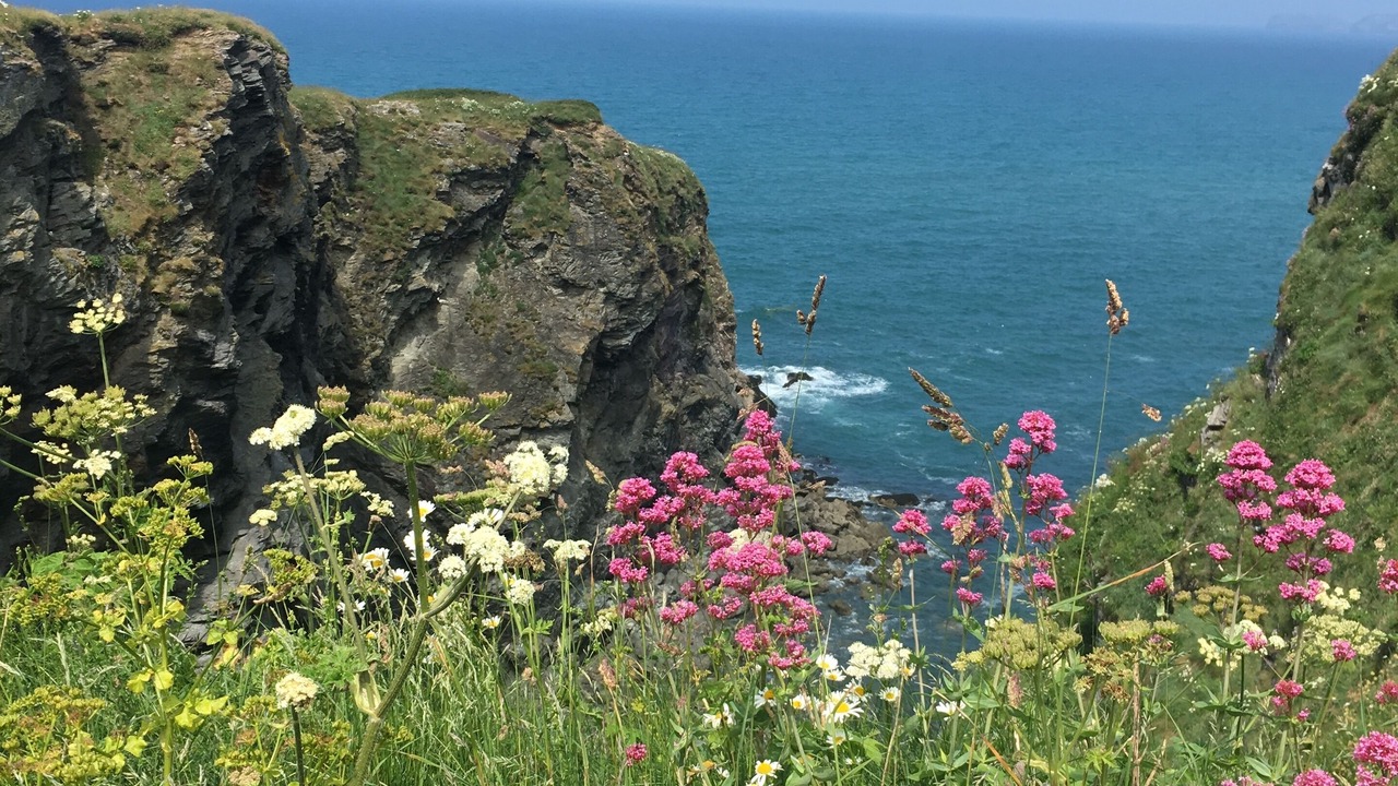 Photo of Others in Wadebridge