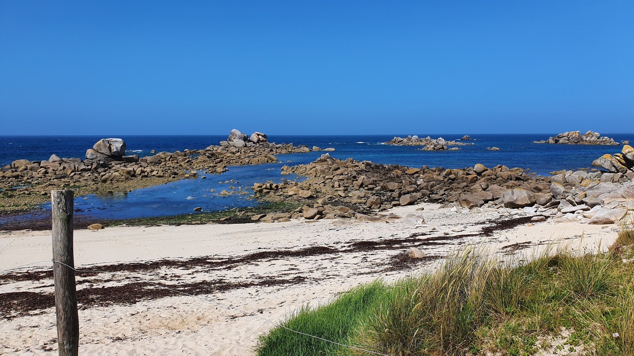 Photo of Others in Cleder