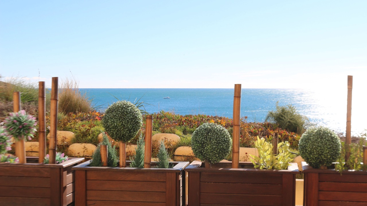 Photo of Outdoor in Dehesa de Campoamor