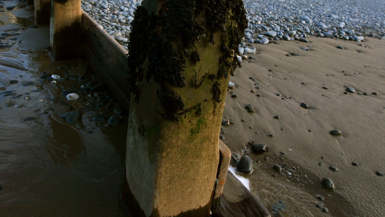 Photo of Others in Borth